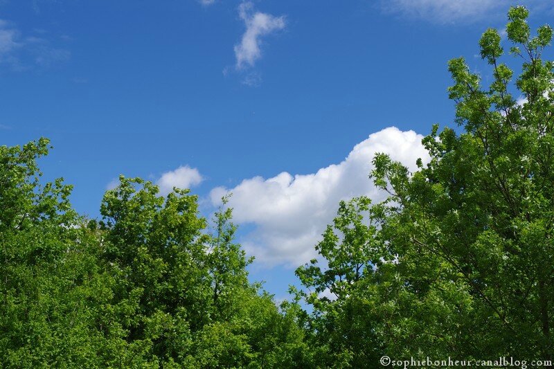 ciel printemps