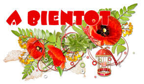 ABientot-Coquelicots