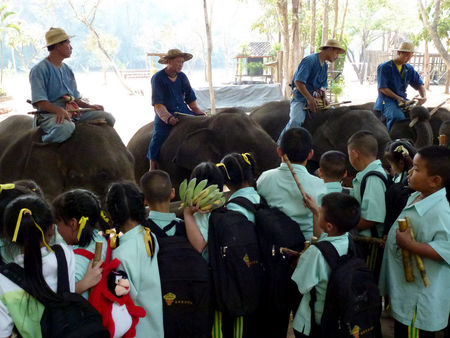 Centre_de_protection_des_elephants_Wat_Lampang_Louang_Wat_HariJJ_086
