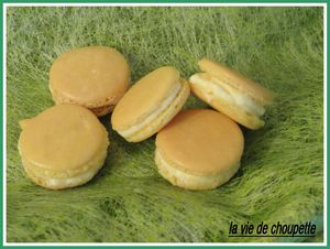 macarons fleurs d'oranger 005