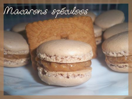 macarons_sp_culoos