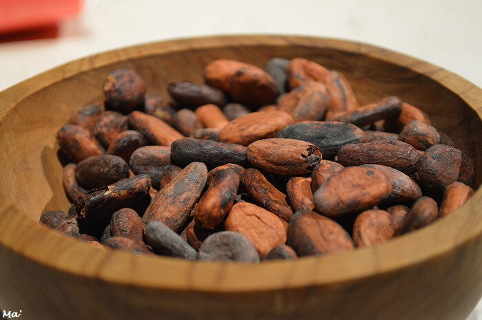 190508_cite_chocolat_5_feves_vertes