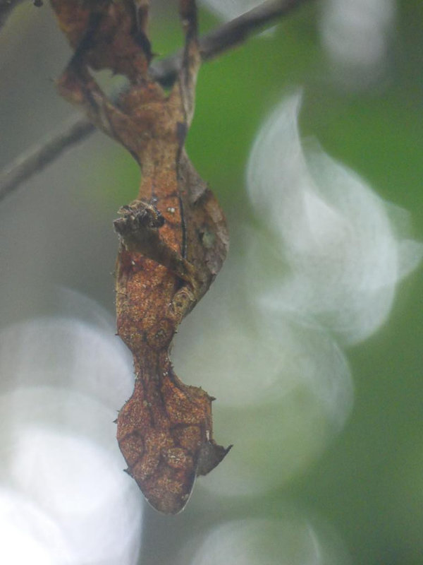 P1230542