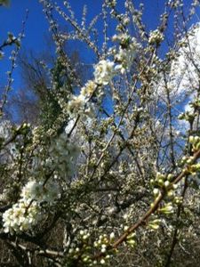 photo (4)