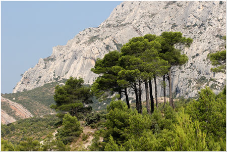 sainte_victoire