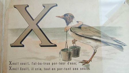 alphabet_des_oiseaux3