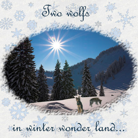 Winter_wonder_land