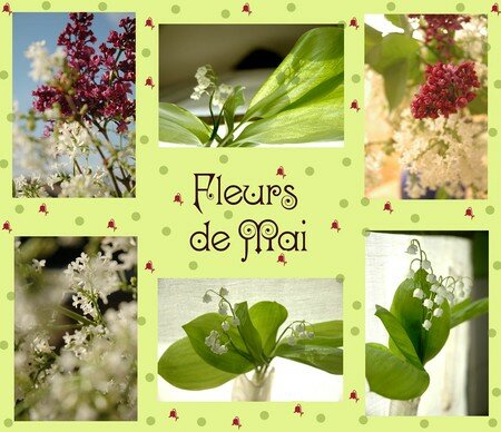 Fleurs_de_mai