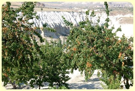 Turquie_507_border