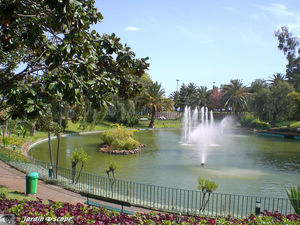 9077_Plan_d_eau_et_magnolia
