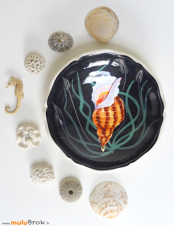 Coupelle-COQUILLAGE-Sté-Générale-2-muluBrok