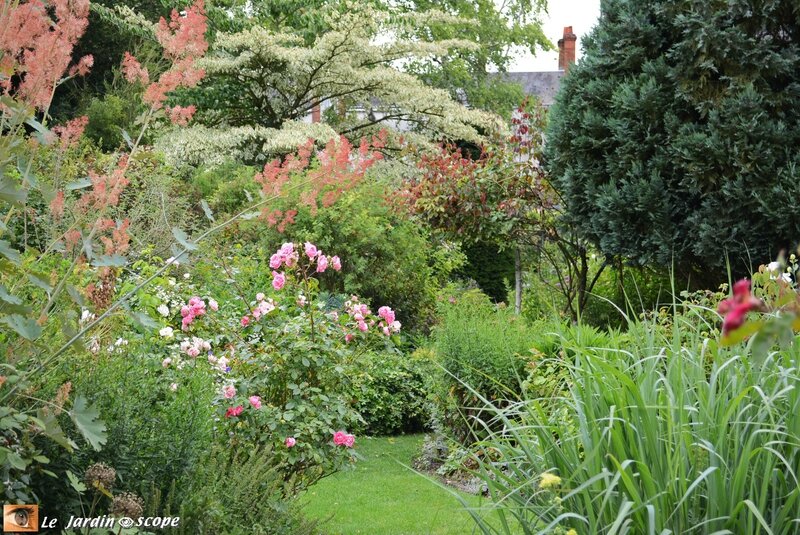 Dans le Jardin d'André Eve en Juillet 2014