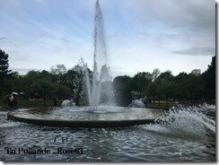 Rose63 (1)