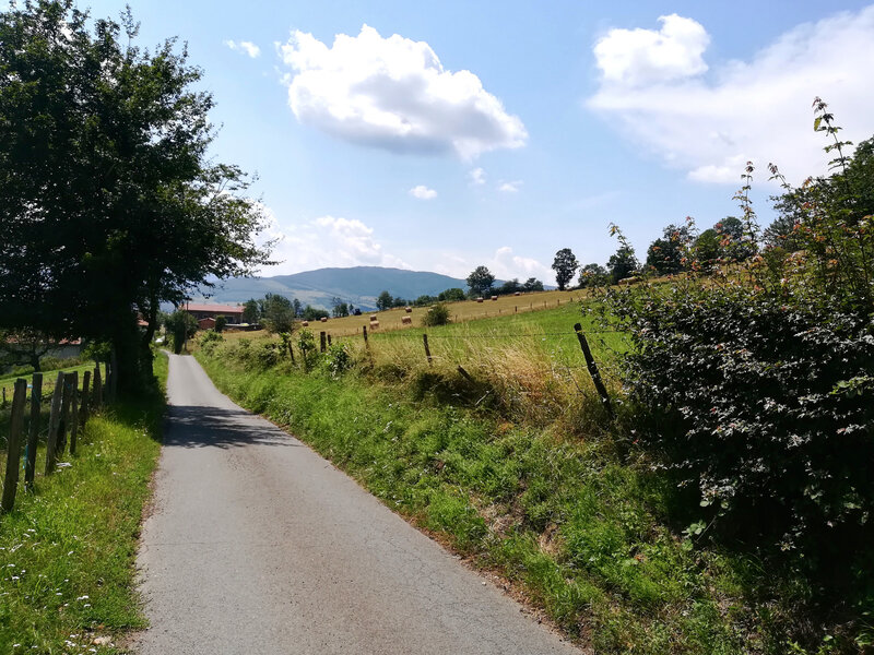 chemin de Lavoué du Bas, 7 juillet 2017, 12h39 (1)