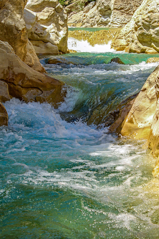 nature 2