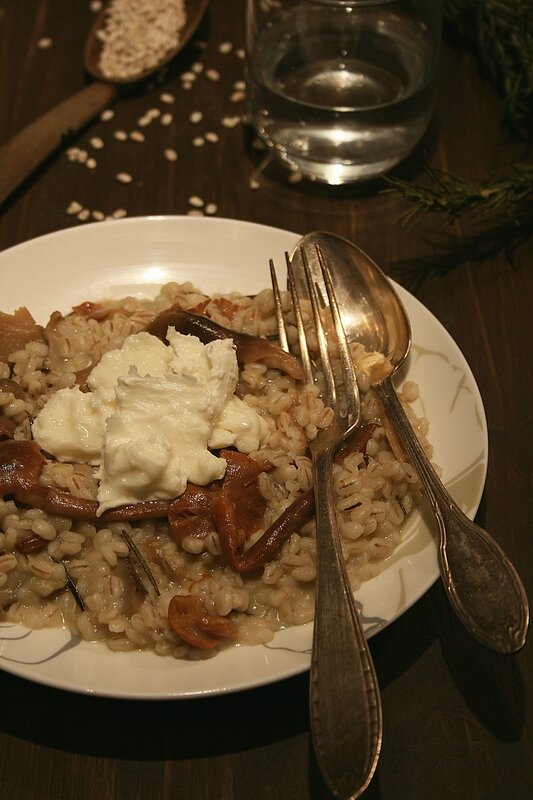 Riotto à l'orge perlé, champignons et mozzarela Passion culinaire