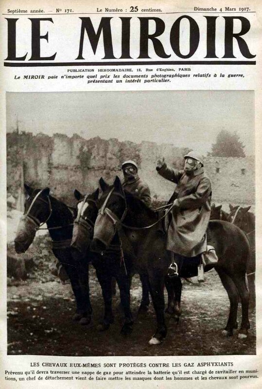 Chevaux masques à gaz miroir