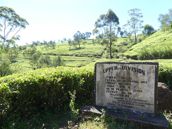 P1270269