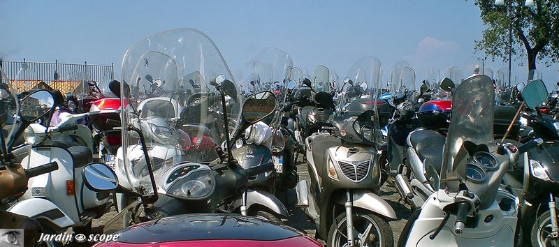 Scoot' toujours !