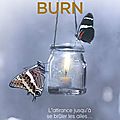 Beautiful Burn [Les Frères Maddox #4] de <b>Jamie</b> <b>McGuire</b>