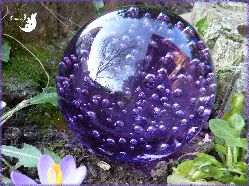boule violette jardin 1