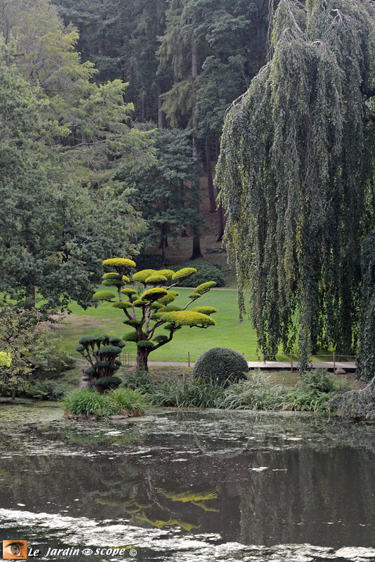 PAT_0933 Parc Oriental de Maulévrier