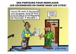 course cité WEB
