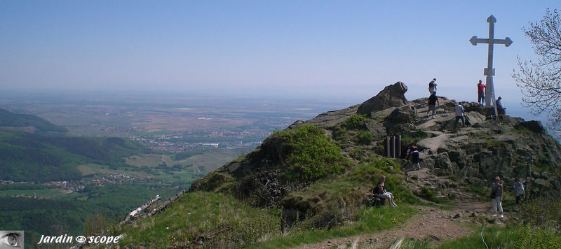 La plaine d'Alsace vue depuis le Hartmannswillerkopf