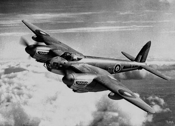 Mosquito_600pix