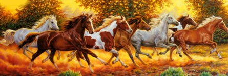 chevaux