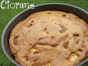 pomme_speculoos_gateau