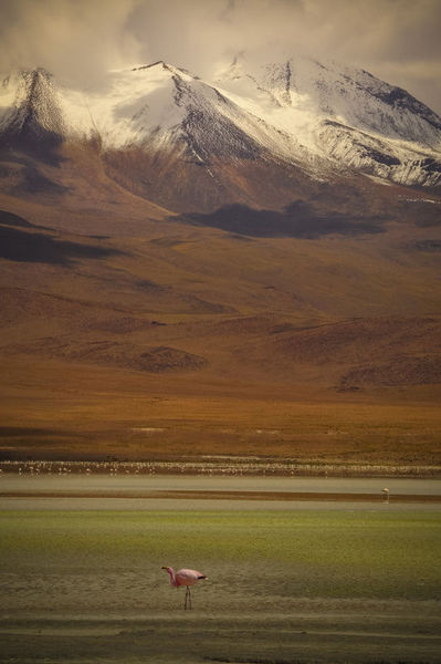 Treck_4X4_Tupiza_Uyuni_54