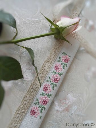 roses sajou