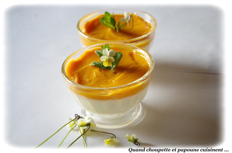 panna cotta vanille, crème d'abricot-9372