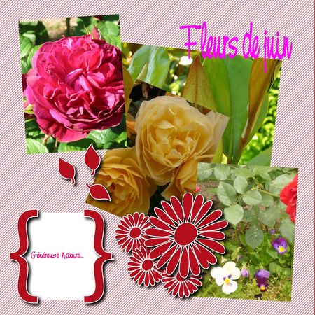 compo_fleurs