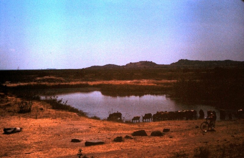 tanzanie 21