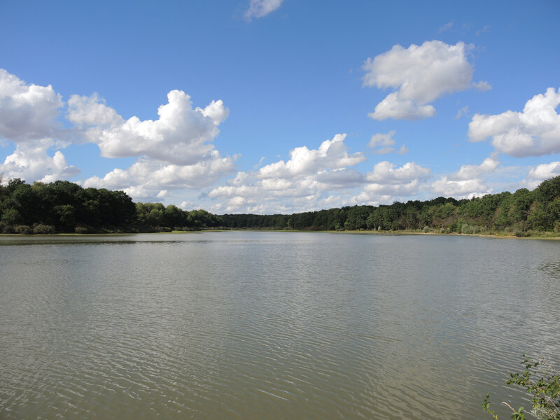 Etang de Vaux, vue (58)