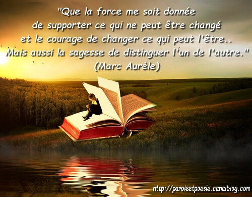 Supporter l'inchangeable - Changer le changeable- Marc Aurèle (Citation)
