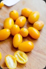 BucheYaourtKumquat-13