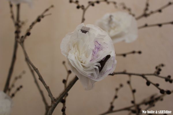 Branche&fleurs blanches (2)