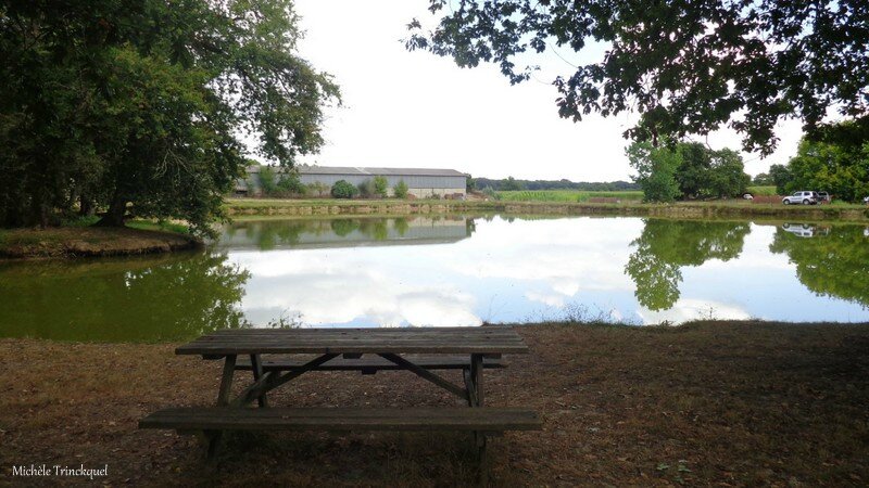 Etangs de Vicq d'Auribat et de St Jean de Lier 210816