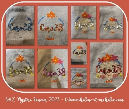 caro38_saljanv23_col3