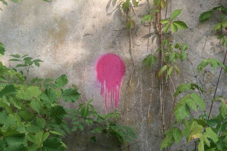 110714 Tag