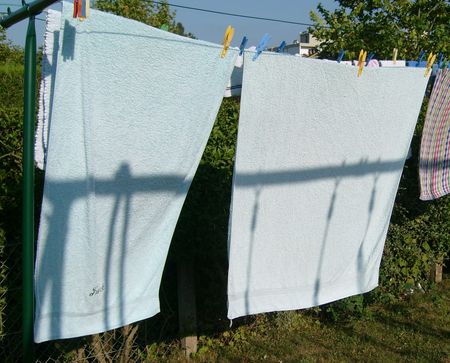 linge