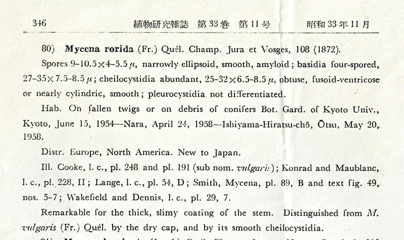 Mycena_rorida_in_Hongo_1958_JJB_33_No11_p346