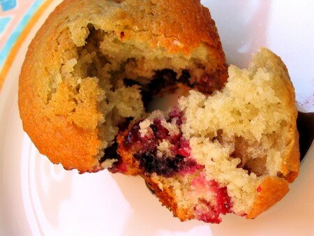 Muffin_Fruit_Rouge__10_