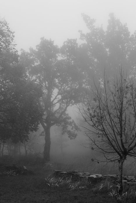 Simiane sous la brume et autres 031_vrr