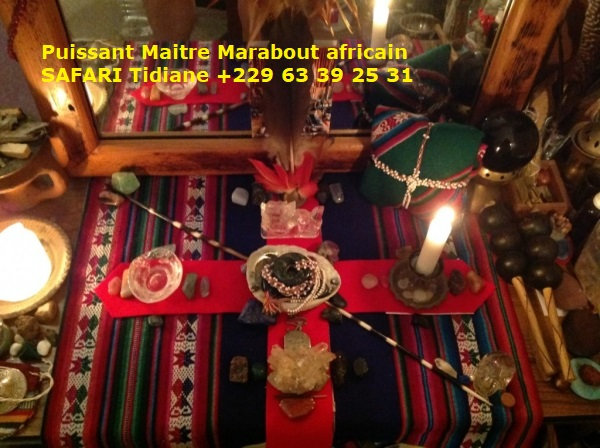 Marabout africain SAFARI Tidiane