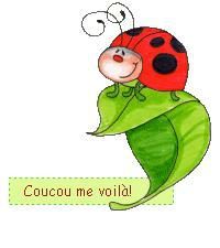 coccinelle 1