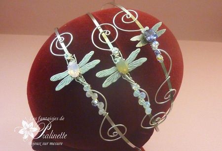 concours_pralinette_serre_t_te_libellule_cabochee_1000_fans_2